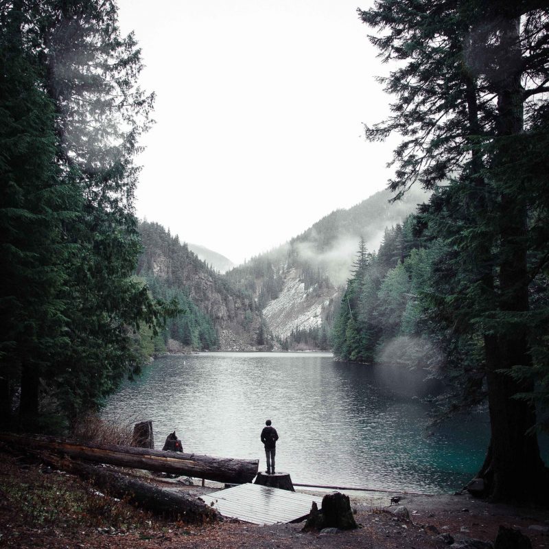 man standing on wood near mountain range